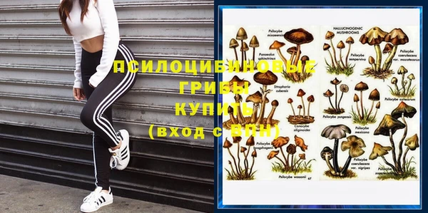 дурь Абдулино