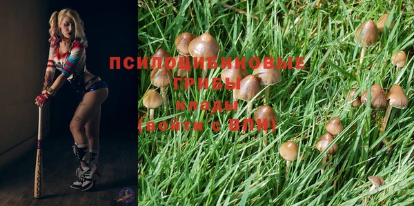 мяу мяу мука Абинск